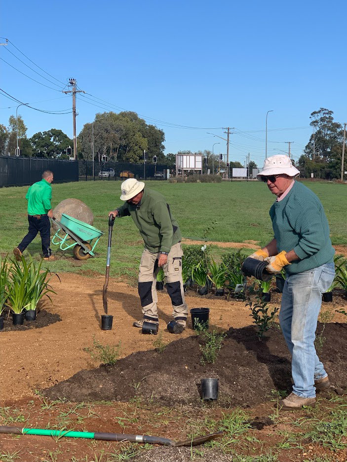 Volunteers assisting with planting of new gardens